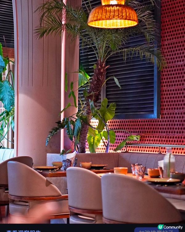 深圳紅山泰古蓮之旅🌴 泰國風情，味蕾盛宴！