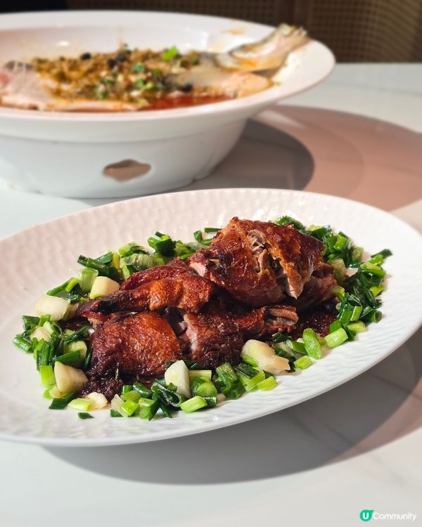 彷彿如杭州旅遊