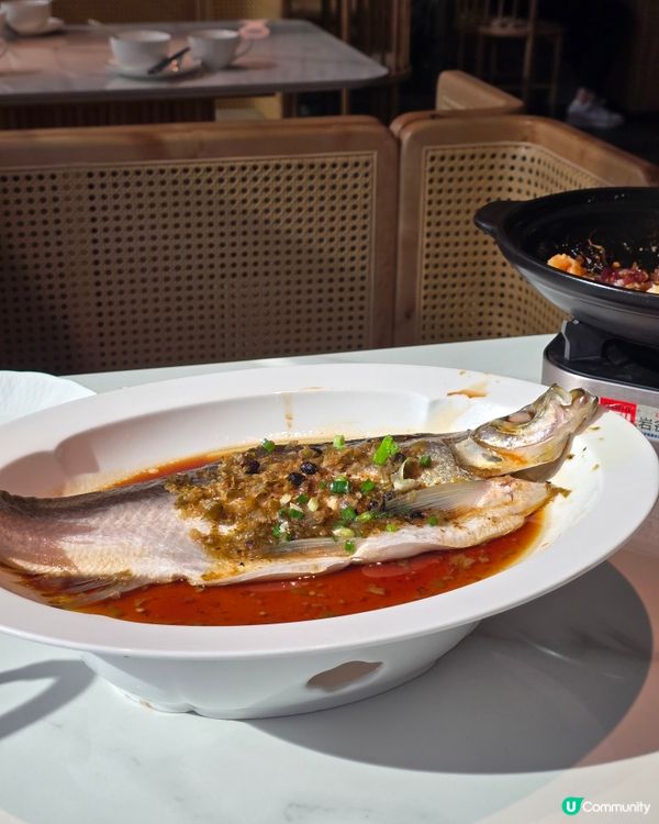 彷彿如杭州旅遊