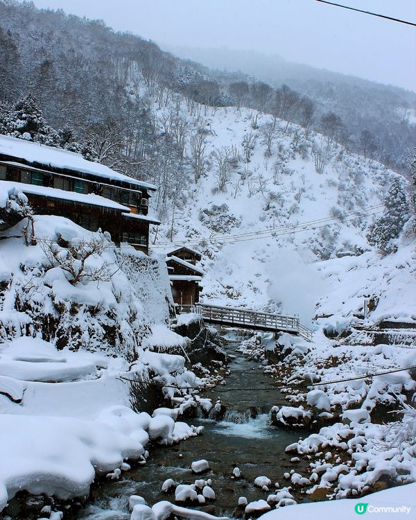 日本長野縣。地獄谷雪猴公園🦧