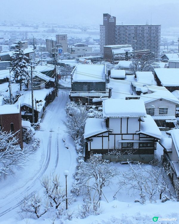 日本長野縣。地獄谷雪猴公園🦧