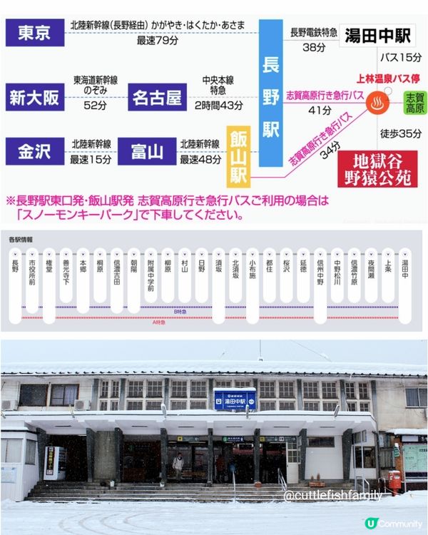 日本長野縣。地獄谷雪猴公園🦧