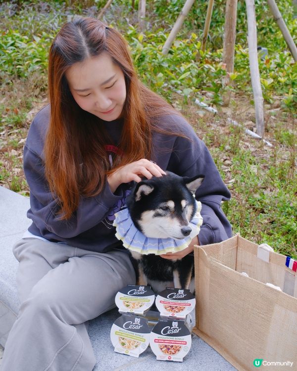 🐶毛孩最愛西莎鮮肉碗😋