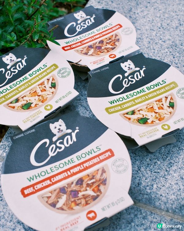 🐶毛孩最愛西莎鮮肉碗😋