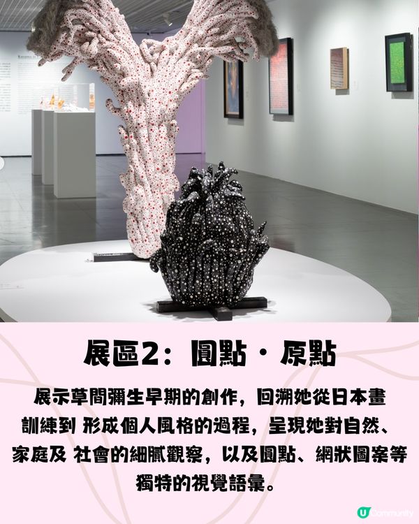 台北草間彌生作品展覽🇹🇼巨型氣球裝置+必買會場限定南瓜袋😍