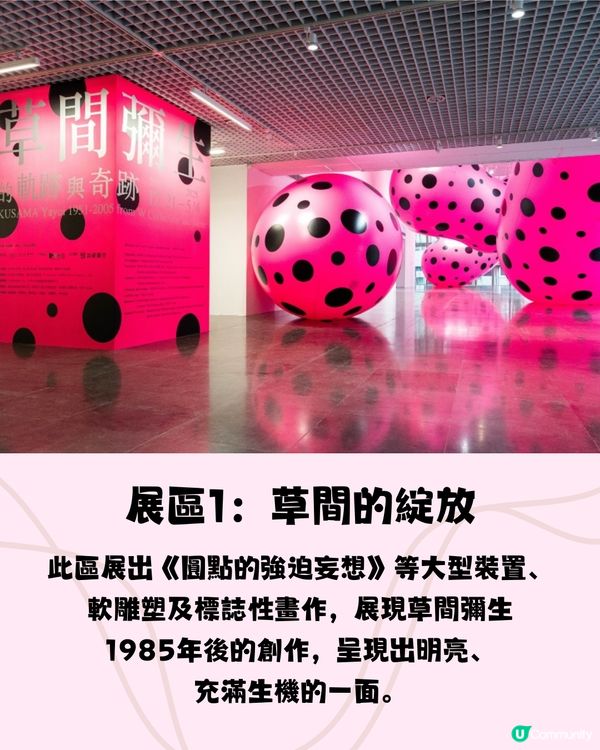 台北草間彌生作品展覽🇹🇼巨型氣球裝置+必買會場限定南瓜袋😍