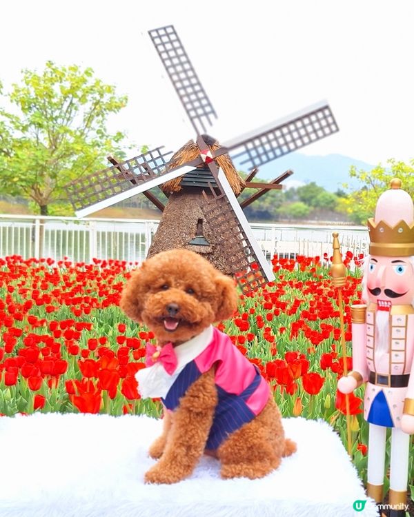 中西餐廳任君選擇