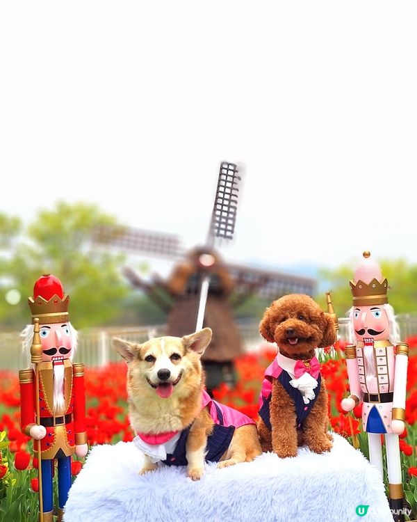 中西餐廳任君選擇