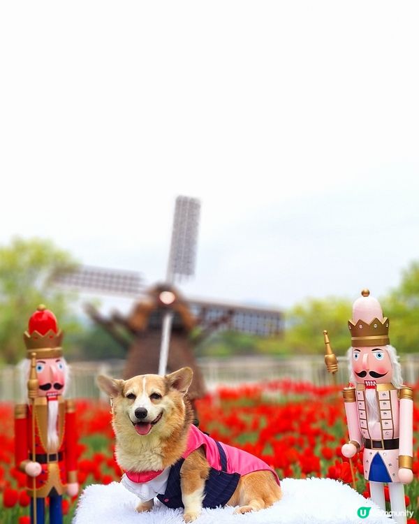 中西餐廳任君選擇