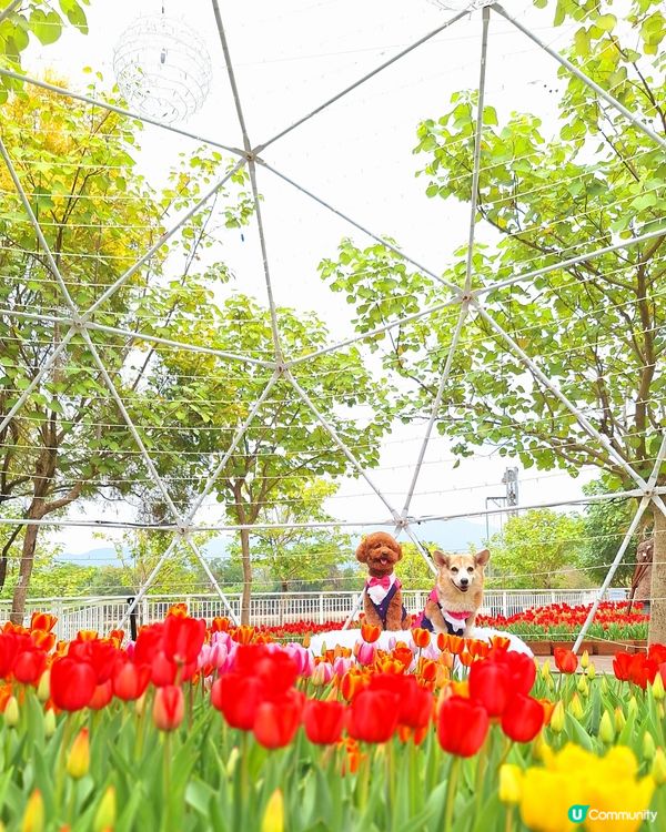 中西餐廳任君選擇