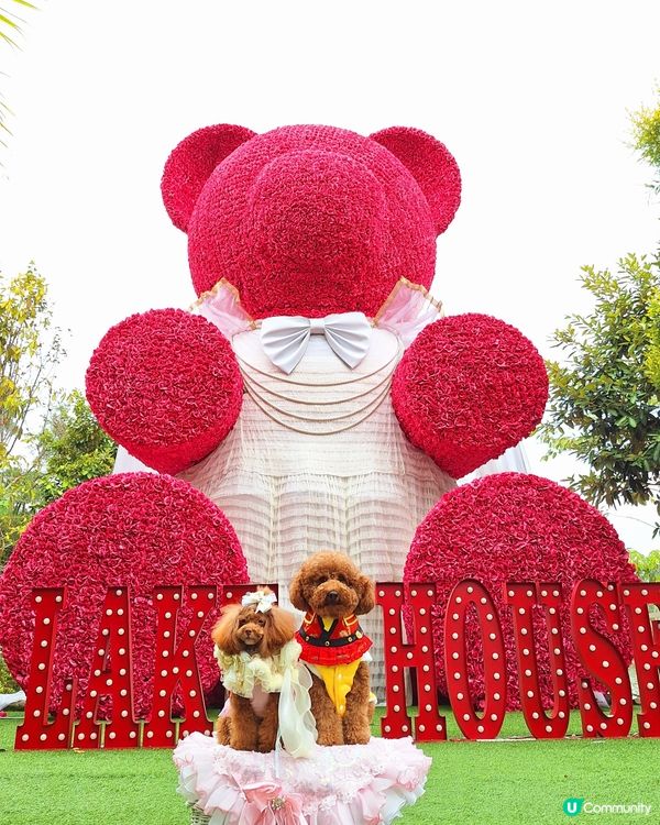 中西餐廳任君選擇