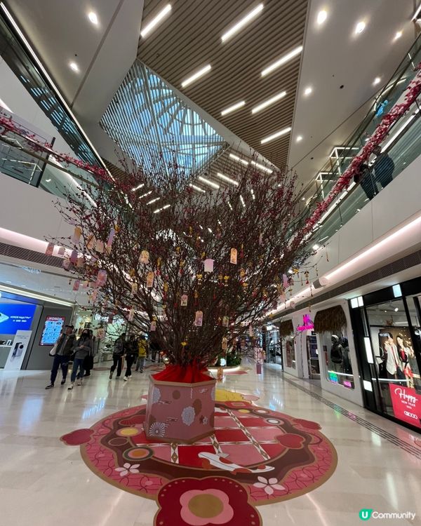 #港玩港食 #好去處 #賞花 #生活足跡 #打卡