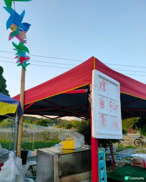 🍓親手摘士多啤梨，仲有羊仔等你嚟！🤩