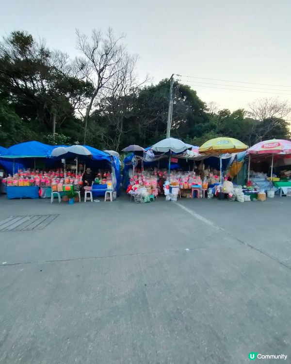 🍓親手摘士多啤梨，仲有羊仔等你嚟！🤩