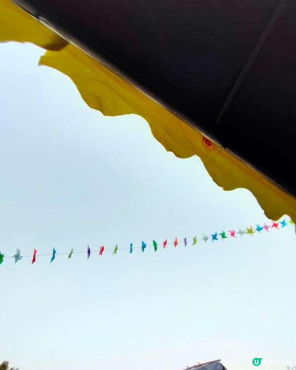 🍓親手摘士多啤梨，仲有羊仔等你嚟！🤩