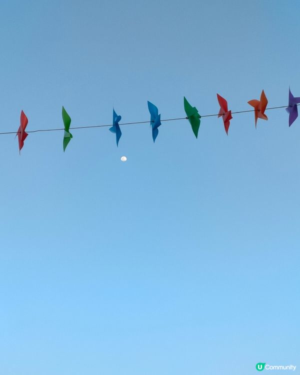 🍓親手摘士多啤梨，仲有羊仔等你嚟！🤩