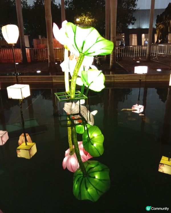  情人節去邊度？🏮 文化中心綵燈會浪漫打卡！ 💖