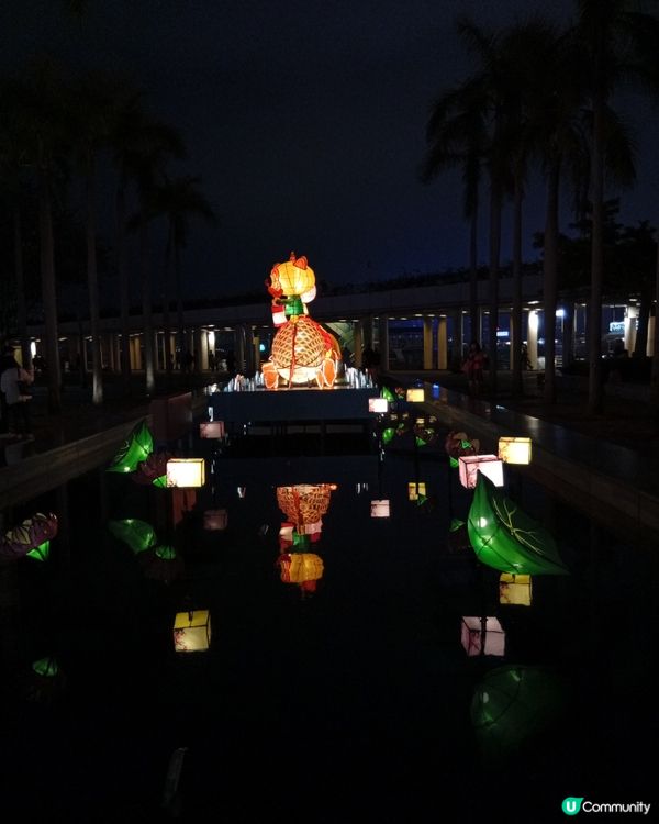  情人節去邊度？🏮 文化中心綵燈會浪漫打卡！ 💖