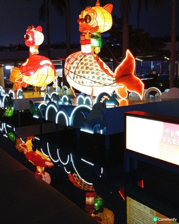  情人節去邊度？🏮 文化中心綵燈會浪漫打卡！ 💖