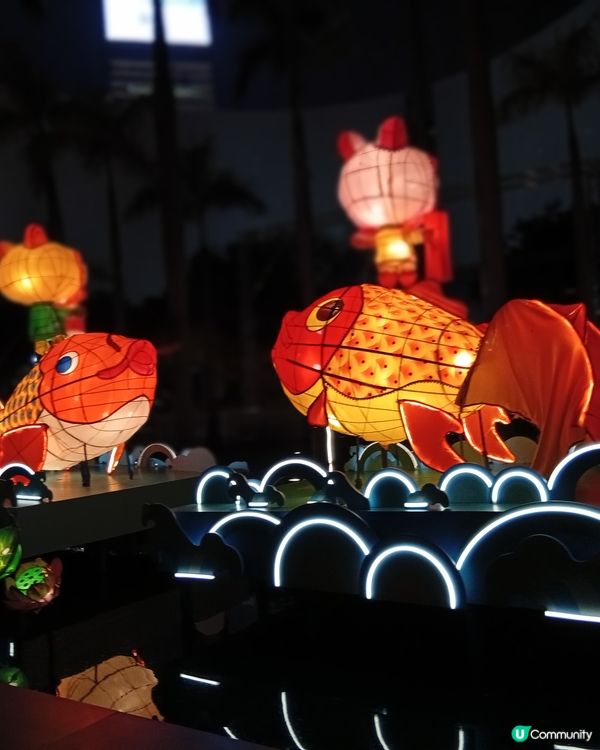  情人節去邊度？🏮 文化中心綵燈會浪漫打卡！ 💖