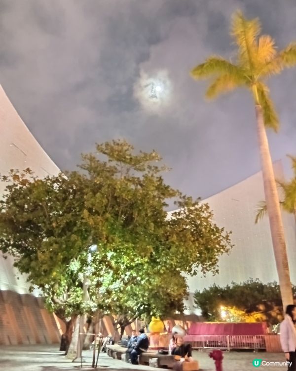  情人節去邊度？🏮 文化中心綵燈會浪漫打卡！ 💖