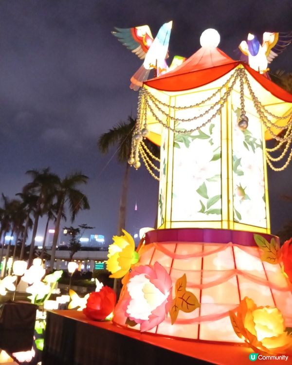  情人節去邊度？🏮 文化中心綵燈會浪漫打卡！ 💖