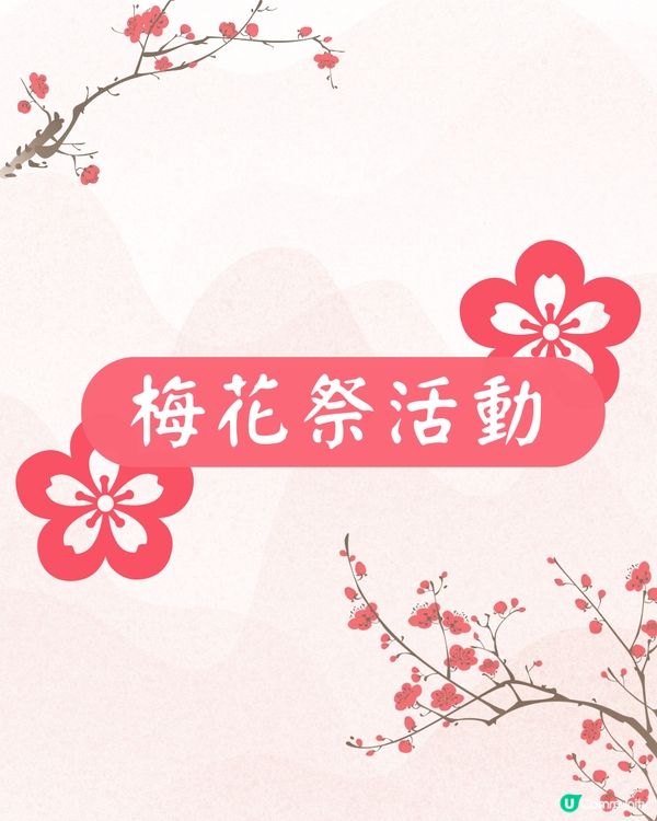 大阪梅花祭開幕🌸近700株梅花美景+梅子美食攤位+傳統工藝DIY工作坊❗