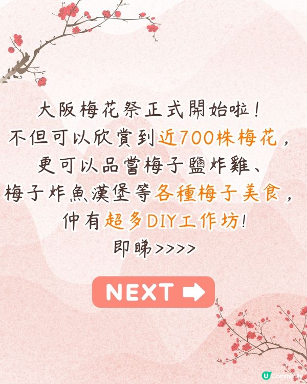 大阪梅花祭開幕🌸近700株梅花美景+梅子美食攤位+傳統工藝DIY工作坊❗