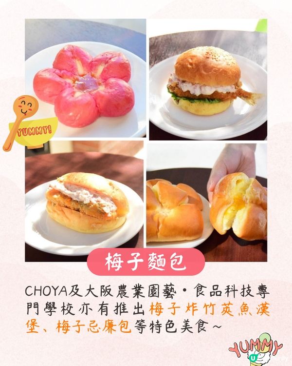 大阪梅花祭開幕🌸近700株梅花美景+梅子美食攤位+傳統工藝DIY工作坊❗