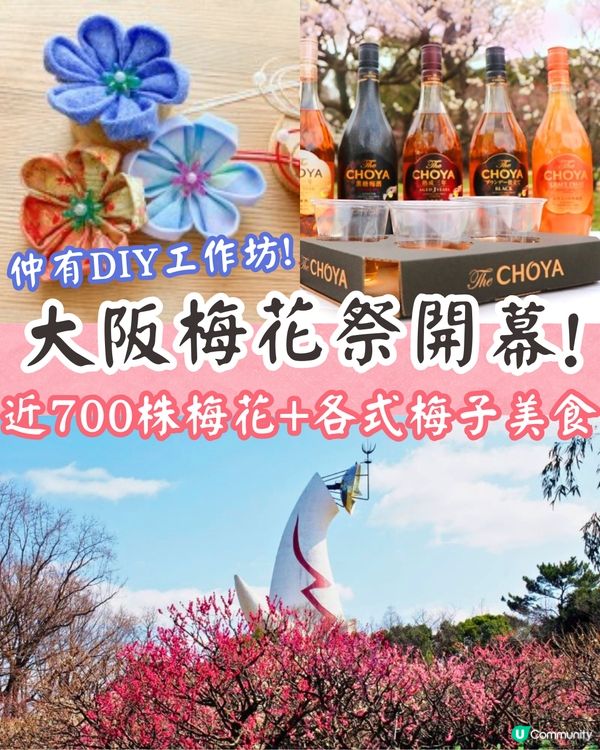 大阪梅花祭開幕🌸近700株梅花美景+梅子美食攤位+傳統工藝DIY工作坊❗