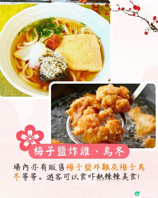 大阪梅花祭開幕🌸近700株梅花美景+梅子美食攤位+傳統工藝DIY工作坊❗