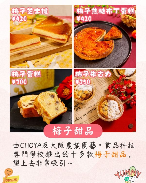 大阪梅花祭開幕🌸近700株梅花美景+梅子美食攤位+傳統工藝DIY工作坊❗