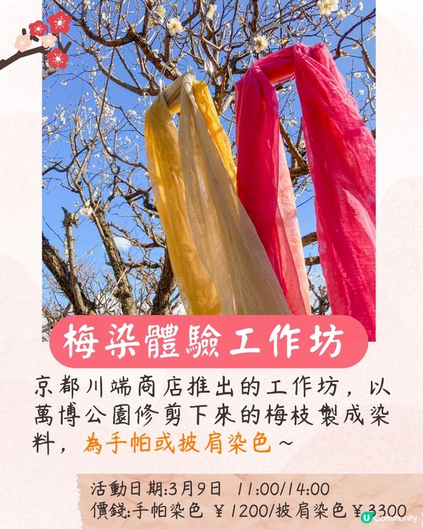 大阪梅花祭開幕🌸近700株梅花美景+梅子美食攤位+傳統工藝DIY工作坊❗