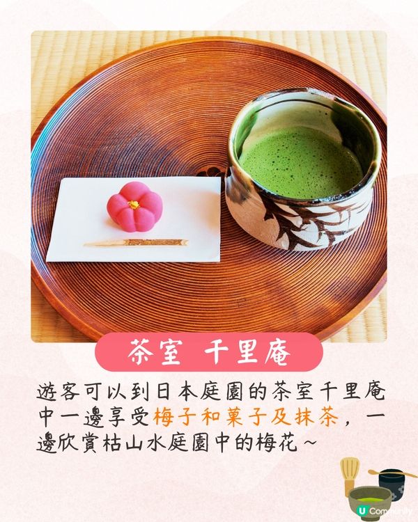 大阪梅花祭開幕🌸近700株梅花美景+梅子美食攤位+傳統工藝DIY工作坊❗