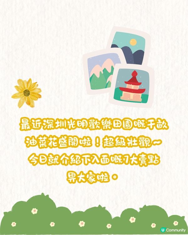 深圳光明歡樂田園攻略📸千畝黃金田園/愜意遊船‼️即睇7大賣點