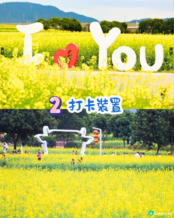 深圳光明歡樂田園攻略📸千畝黃金田園/愜意遊船‼️即睇7大賣點