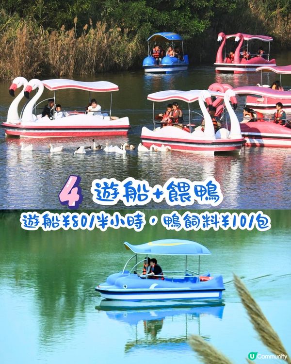 深圳光明歡樂田園攻略📸千畝黃金田園/愜意遊船‼️即睇7大賣點