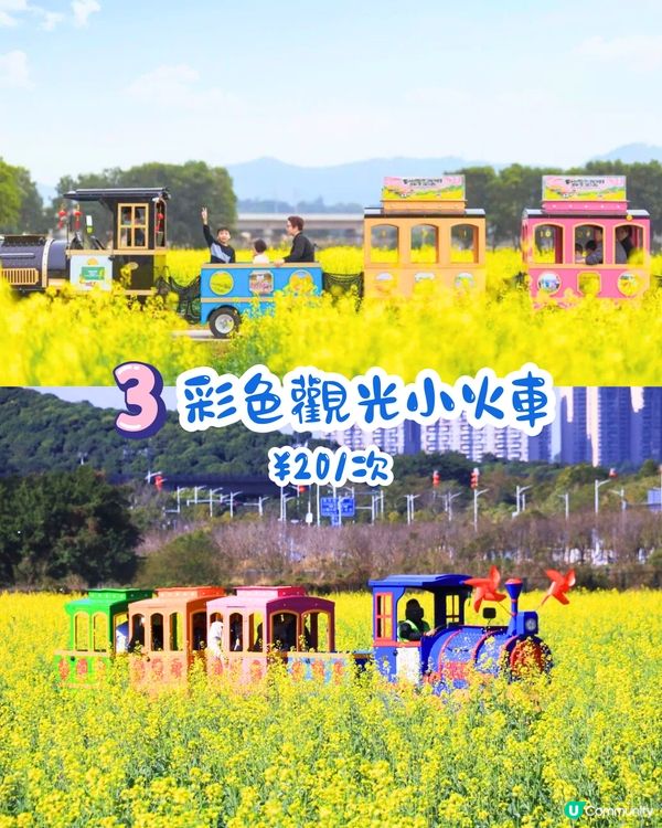 深圳光明歡樂田園攻略📸千畝黃金田園/愜意遊船‼️即睇7大賣點