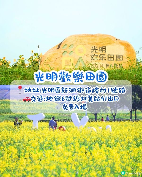 深圳光明歡樂田園攻略📸千畝黃金田園/愜意遊船‼️即睇7大賣點