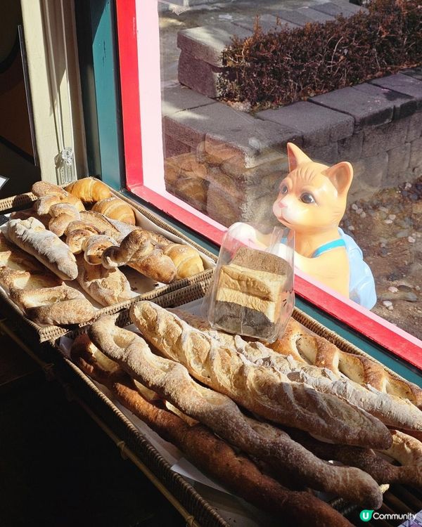 釜山的夢幻角落｜甘川文化村✨