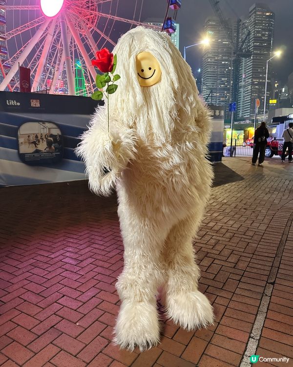 ## 情人節散步驚喜！雪怪派糖🍬