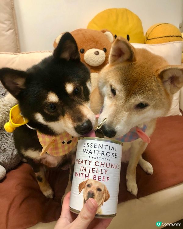 🧷 2025年情人節💌快樂 🤍🖤