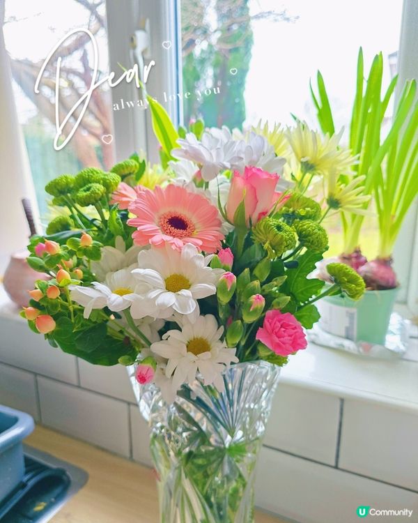 低成本情人節⚘️