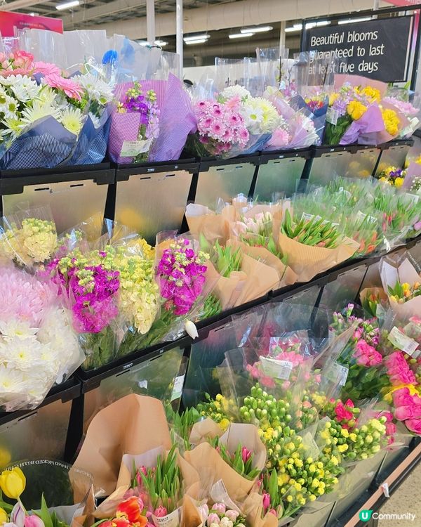 低成本情人節⚘️