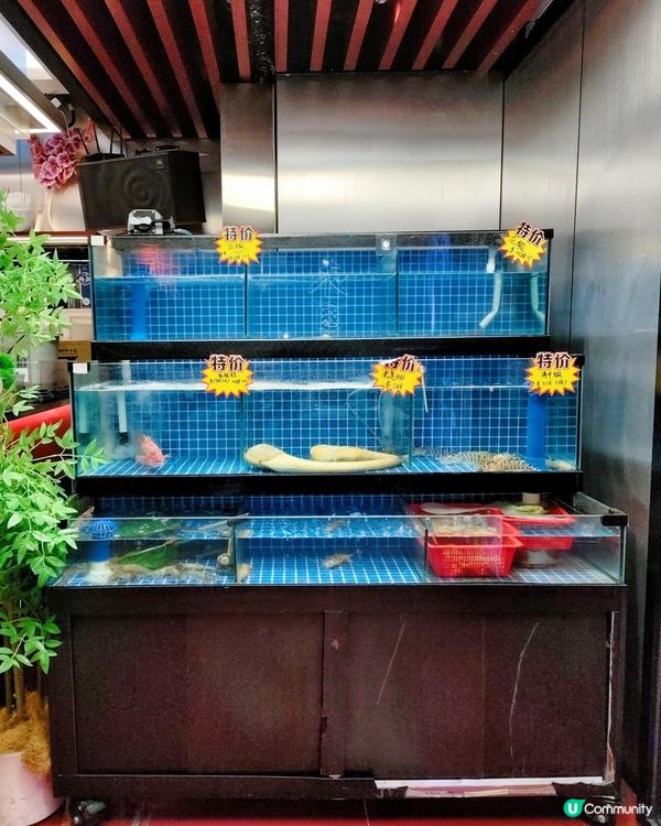 《小巷子裡的高質火鍋店》