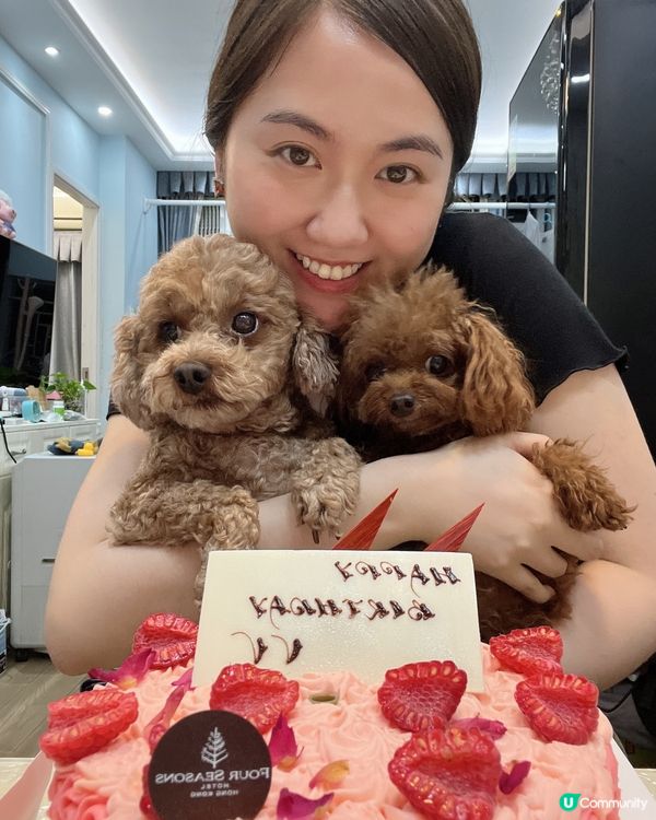 可愛貴婦狗與四季紅絲絨蛋糕❤️🩷