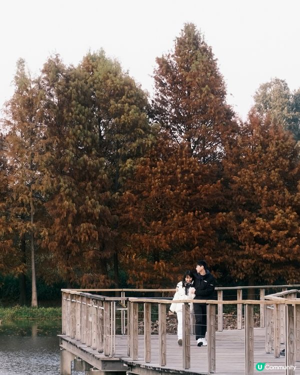 濕 地 公 園 ≣ 散 策 落 羽 松 𖡘𖤣𖤣𖤣