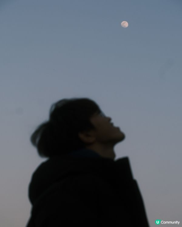 濕 地 公 園 ≣ 散 策 落 羽 松 𖡘𖤣𖤣𖤣