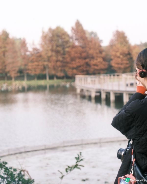 濕 地 公 園 ≣ 散 策 落 羽 松 𖡘𖤣𖤣𖤣