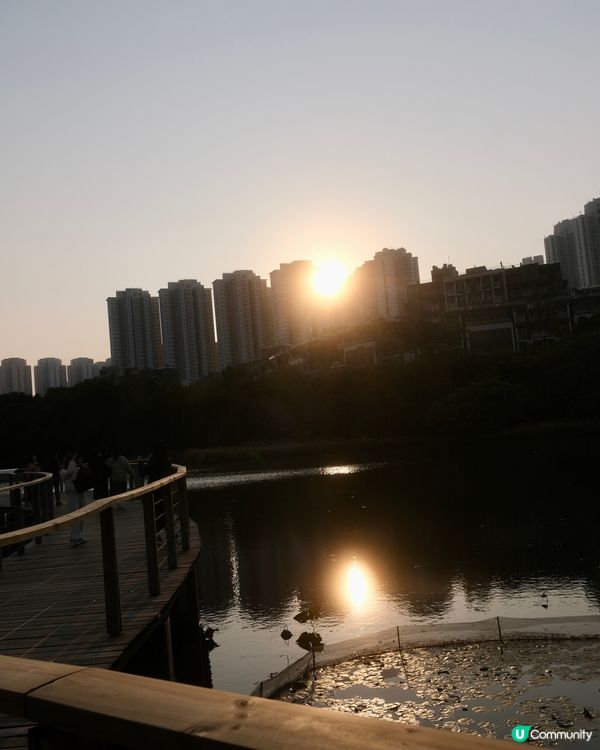 濕 地 公 園 ≣ 散 策 落 羽 松 𖡘𖤣𖤣𖤣